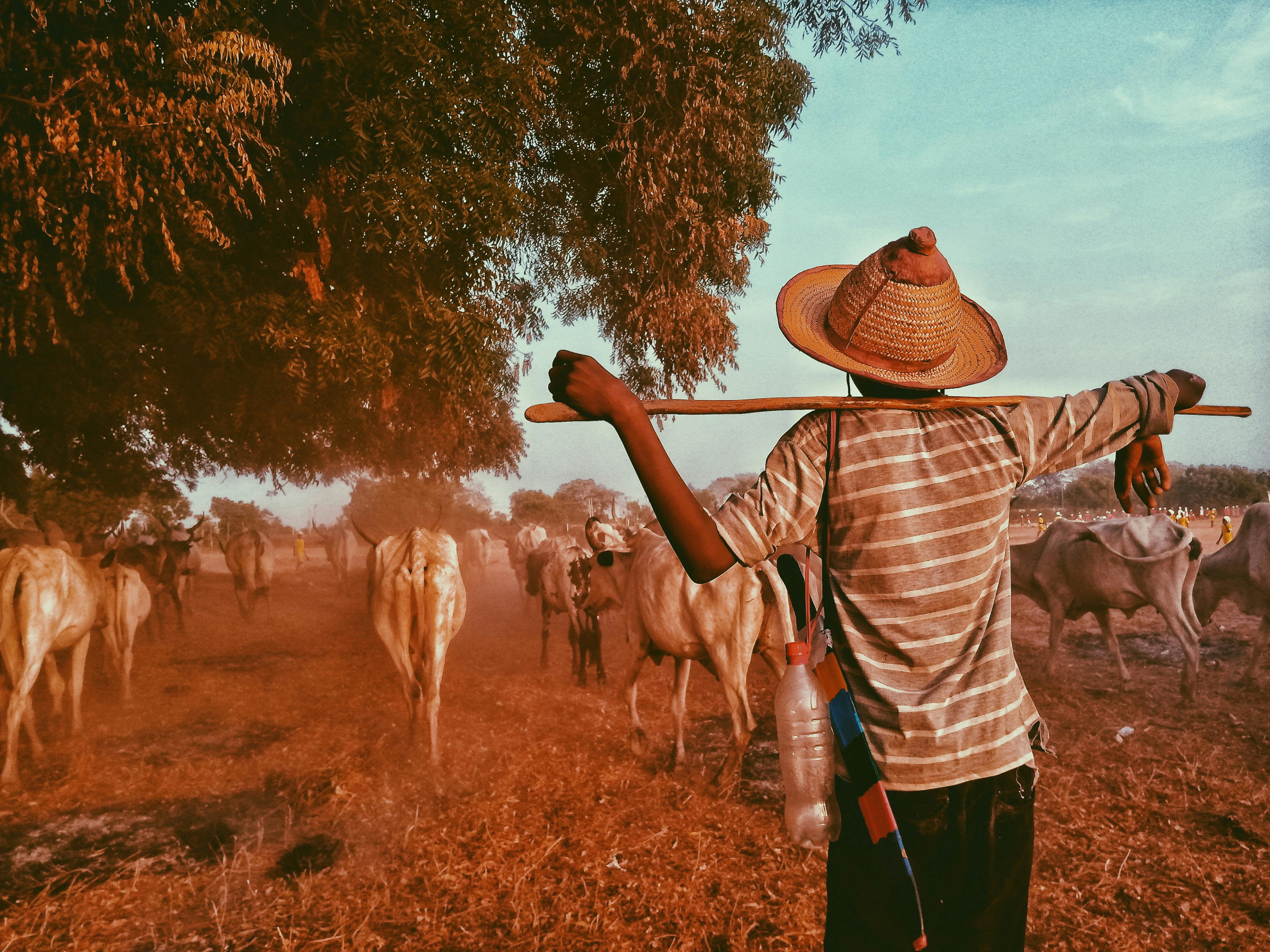 We Provide Comprehensive Agricultural Solutions